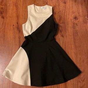 Elizabeth and James fit and flare cocktail dress